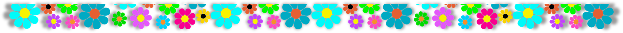 Bottom Divider